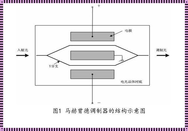 世界调制器系列模式高中之定制未来