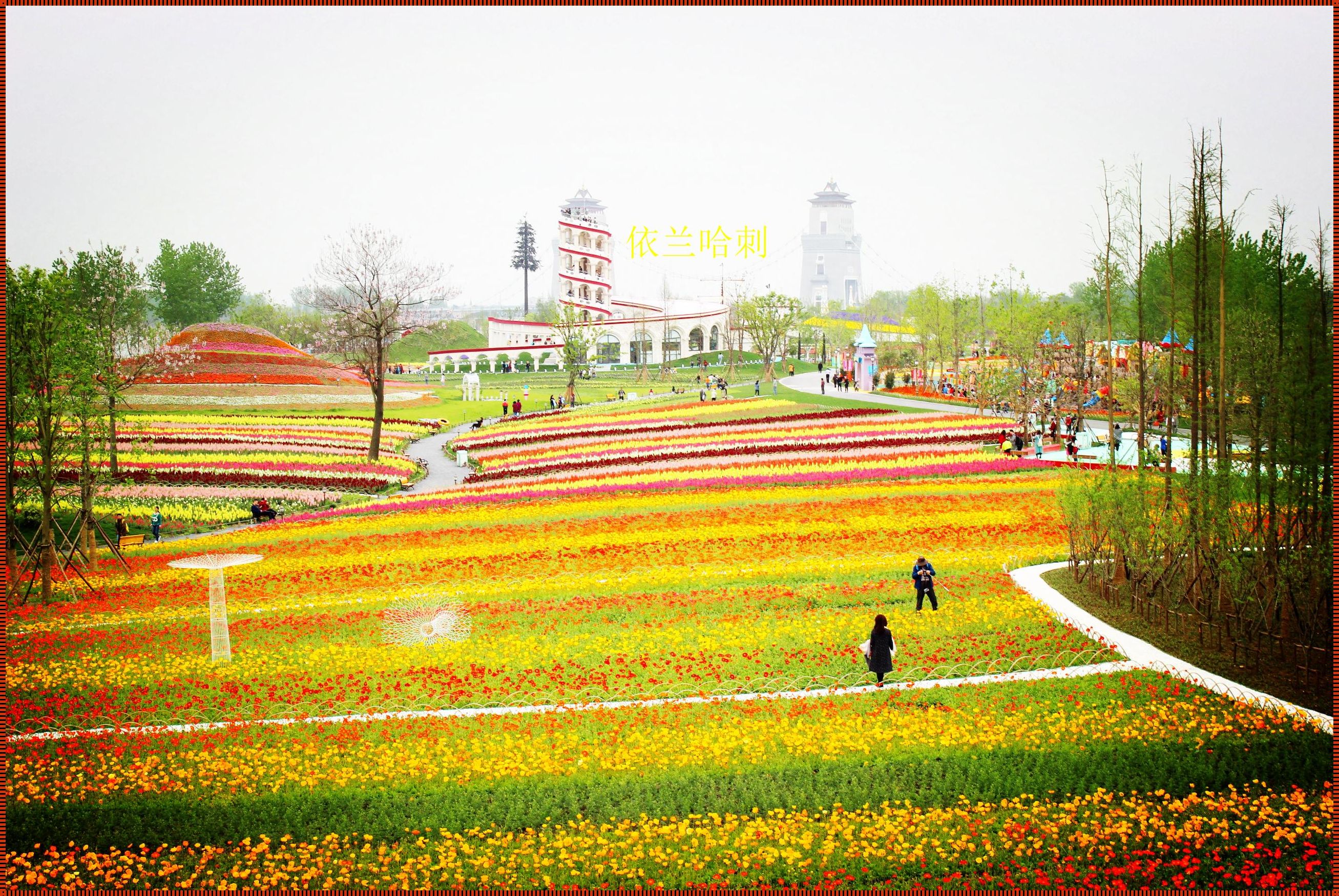 探秘马可波罗花世界乐园：动态美景，四季如画