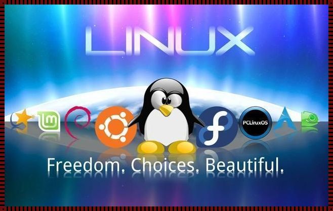 国产 LINUX 之光：技术创新与民族脊梁