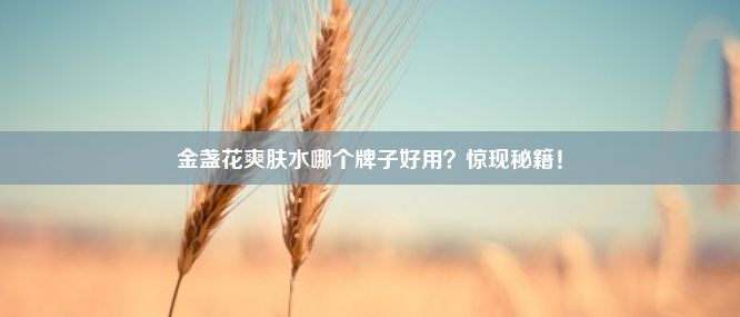 金盏花爽肤水哪个牌子好用？惊现秘籍！