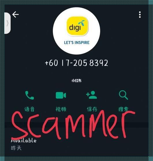 科技之光：Digilink 验证信息的探秘之路