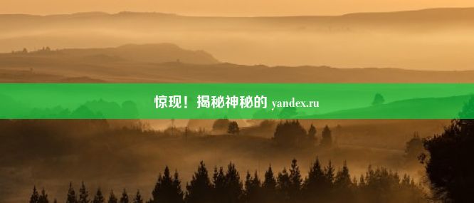 惊现！揭秘神秘的 yandex.ru