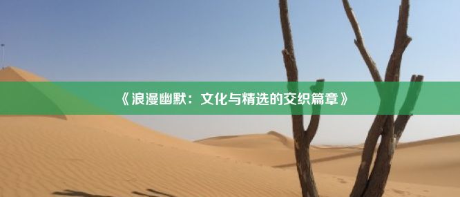 《浪漫幽默：文化与精选的交织篇章》