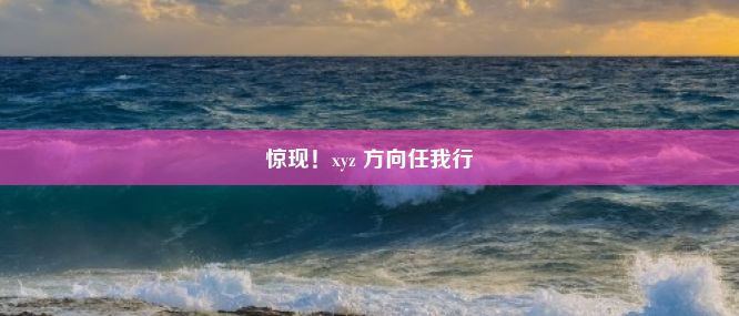 惊现！xyz 方向任我行