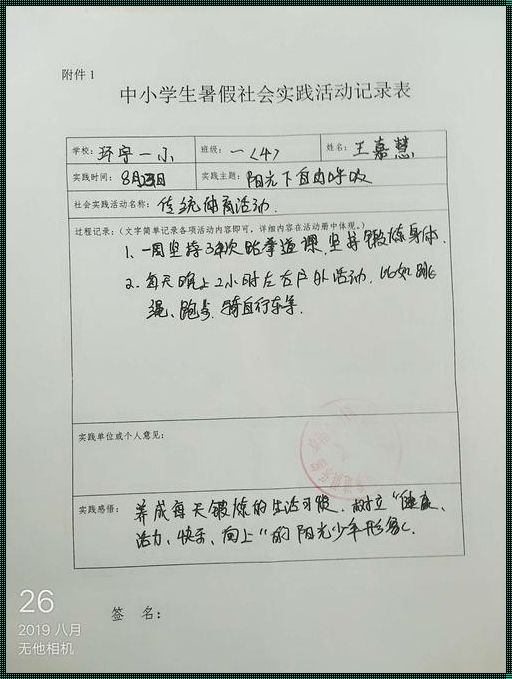 小学生的暑期“劳动实践表”：文化、技术的完美交融