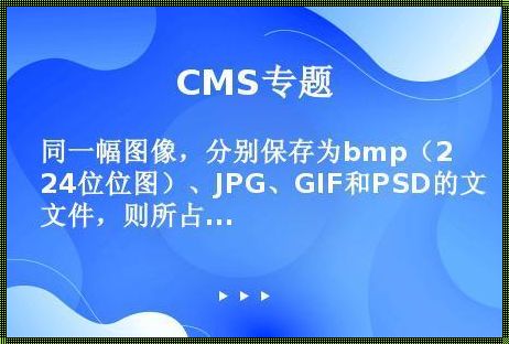 BMP：位图的魅力与解析