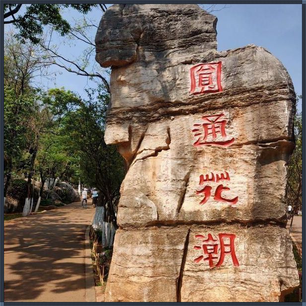 惊现！圆通山门票价格大揭秘