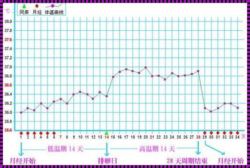 《排卵日一击即中，生男生女奥秘探析》