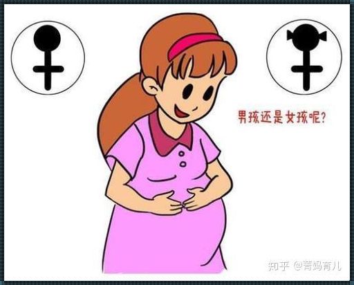 《毛发腹中藏，男女概率谈》