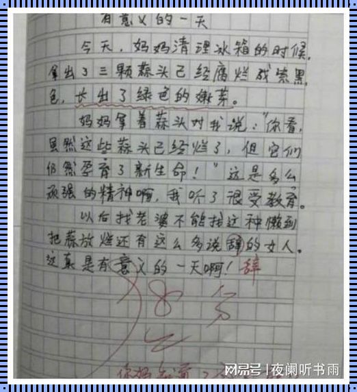 《小学生的文化探寻：开启学习新篇章》