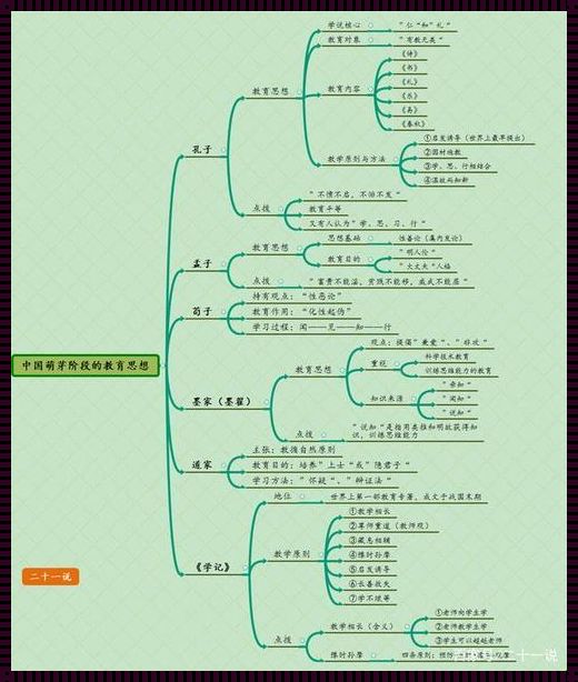 每日必学知识：文化快速掌握