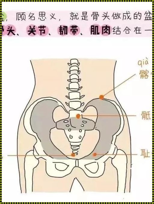 骶髂关节炎疼痛位置图：带你了解身体神秘的痛点