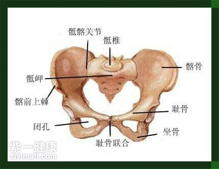 跨骨疼痛之谜：一张神秘的准确位置图惊现江湖