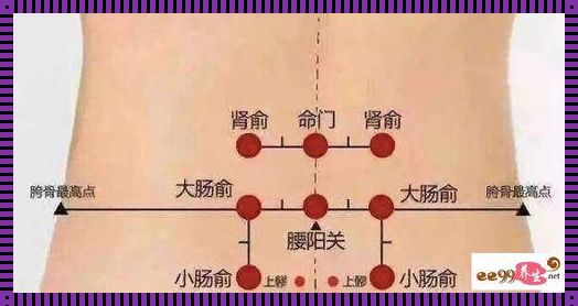 肾俞位置图与作用的精准解读