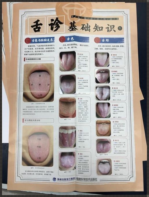 舌诊图解大全高清图：问鼎健康密码