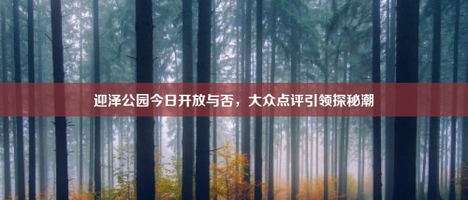 迎泽公园今日开放与否，大众点评引领探秘潮