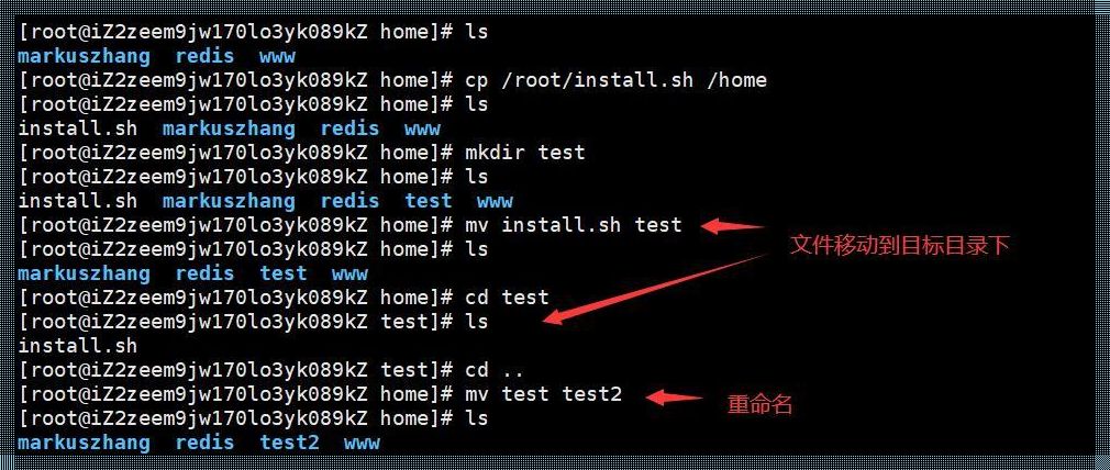 Linux复制文本到另一文件：一键操作，便捷之选