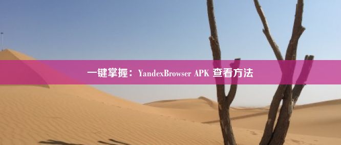 一键掌握：YandexBrowser APK 查看方法