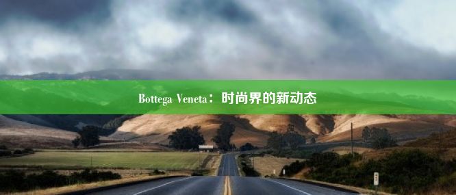 Bottega Veneta：时尚界的新动态