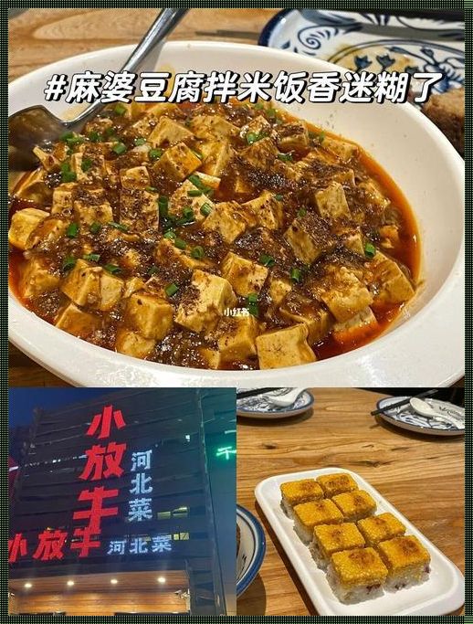 潘甜甜麻婆豆腐视频：生活信心之源