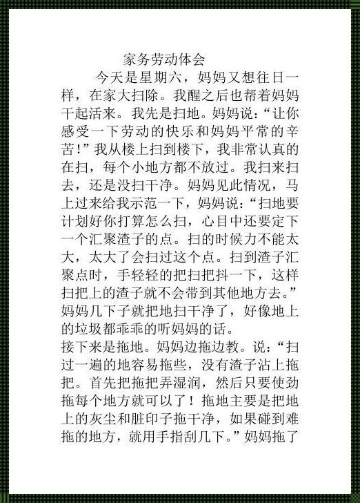 《扫地，文化惊现：感受与体会的微观世界》