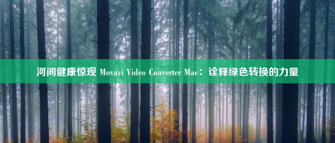 河间健康惊现 Movavi Video Converter Mac：诠释绿色转换的力量