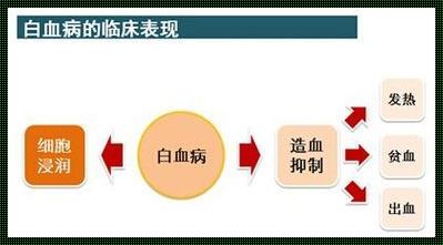 掌握妙招，及早发现白血病信号