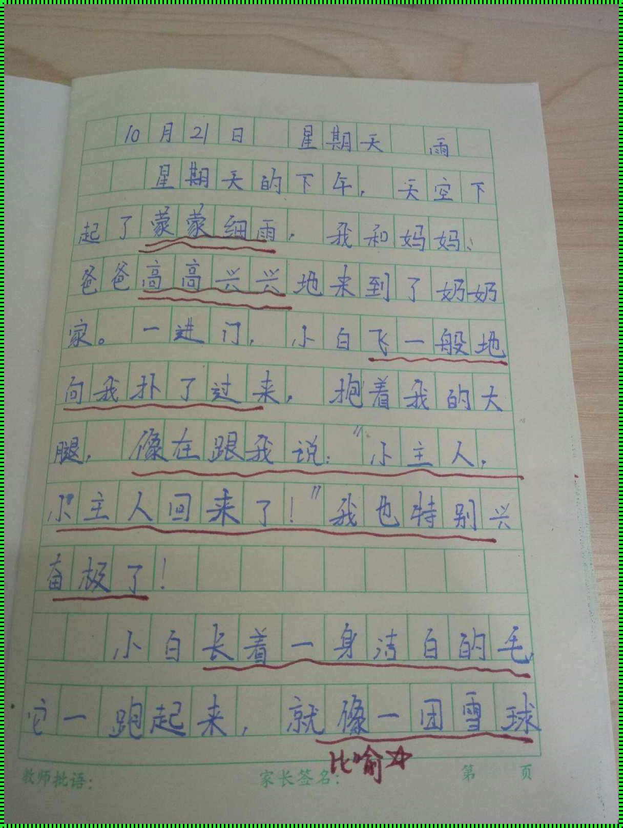 呕吐之痛：细致描绘的人类生理现象