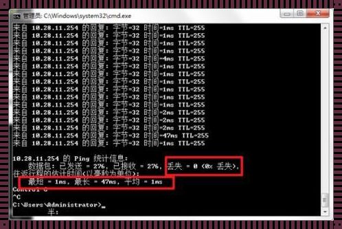 掌握 Ping 测试网络的技巧，让网络诊断变得轻松高效