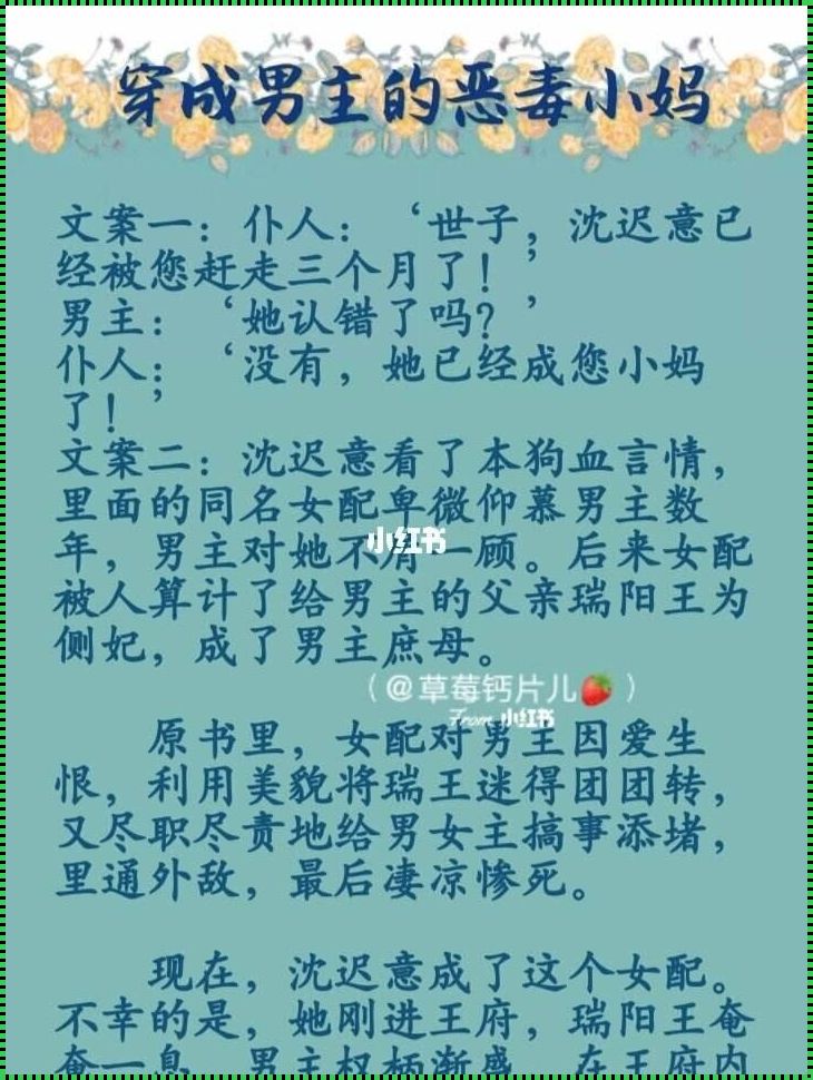 《穿越恶毒男配，我成了怀孕的他》