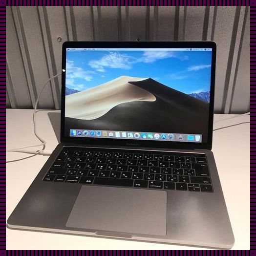 18-19岁的MacBook日本：青春与文化的交融