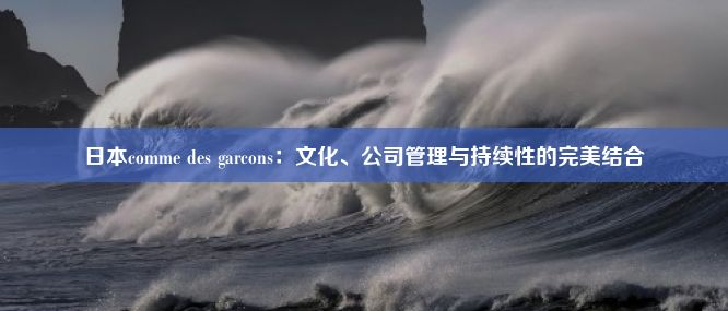 日本comme des garcons：文化、公司管理与持续性的完美结合