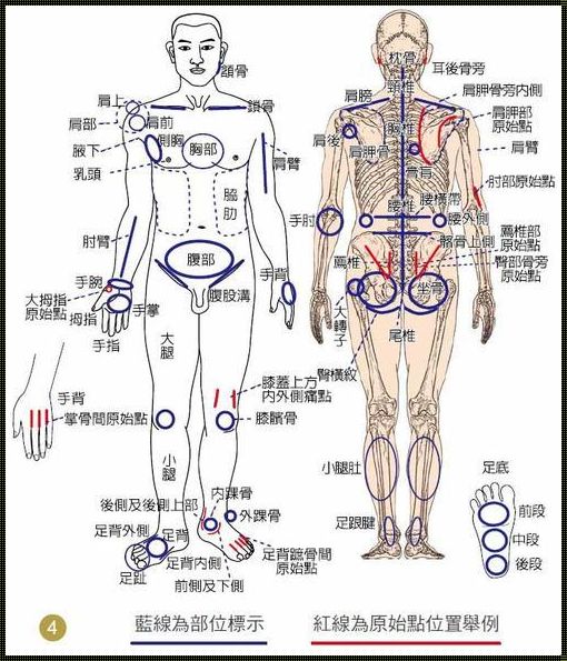 推拿之道，关键在于哪些部位的舒缓？