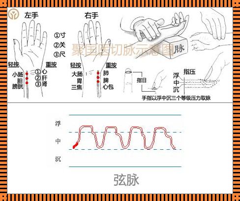 中医号喜脉是胎心跳吗？