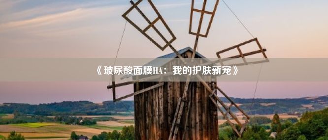 《玻尿酸面膜HA：我的护肤新宠》