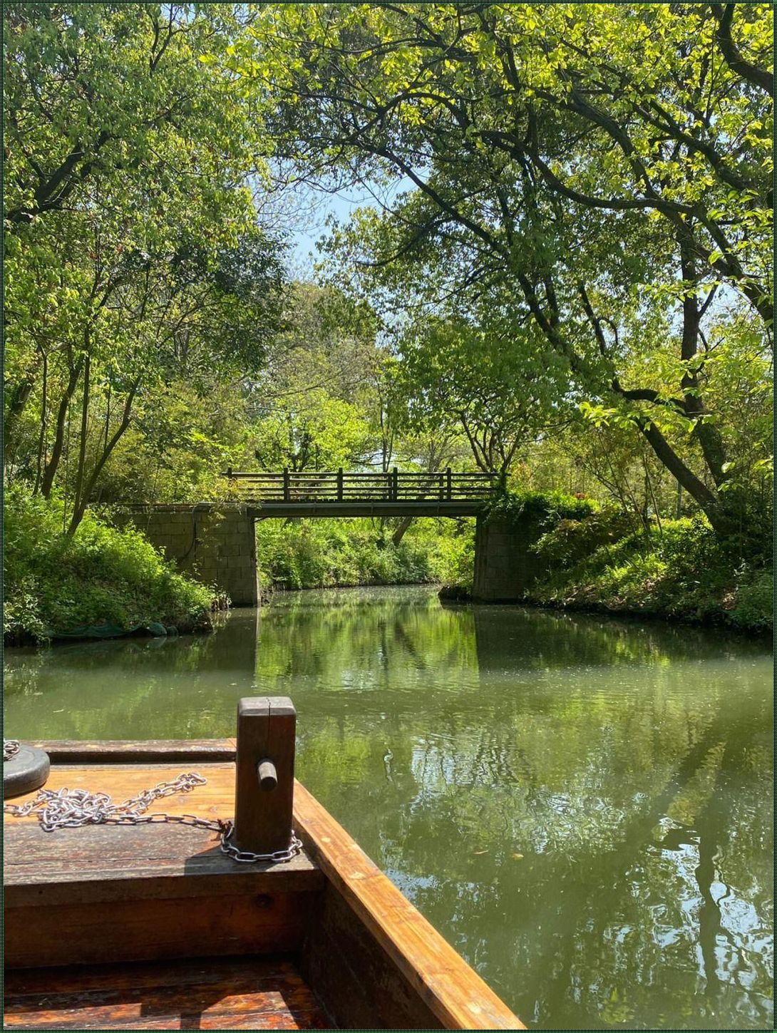 西溪湿地：一场浪漫的生态之旅