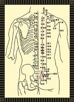 揭秘背部经络：准确位置图及惊人作用解析