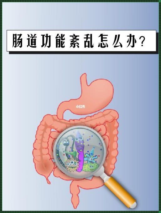 肠道紊乱快速自愈法揭秘！