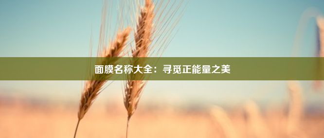 面膜名称大全：寻觅正能量之美