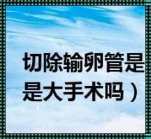 输卵管手术能否报销？医保政策深度剖析