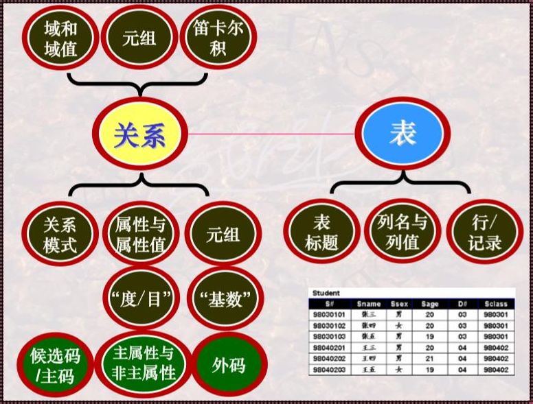 关系模型的概念和定义：探索数据世界的奥秘