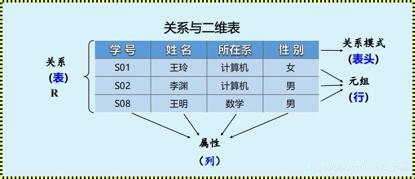 关系模型的概念和定义：探索数据世界的奥秘