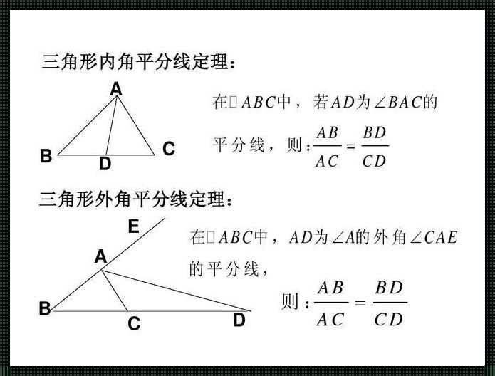 角平分线的定律：揭示公平的神秘面纱