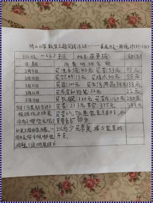 普通家庭一个月开销揭秘：您可能会感到惊讶的事实