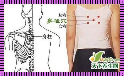 身柱怎么找最简便视频？惊现寻找秘籍！