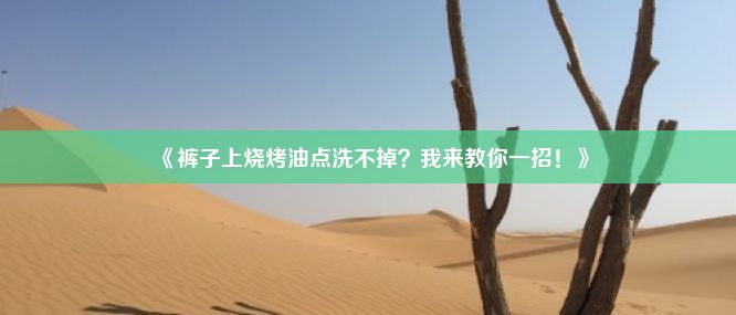 《裤子上烧烤油点洗不掉？我来教你一招！》