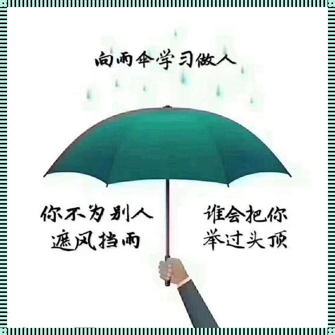 勇敢面对风雨，励志前行