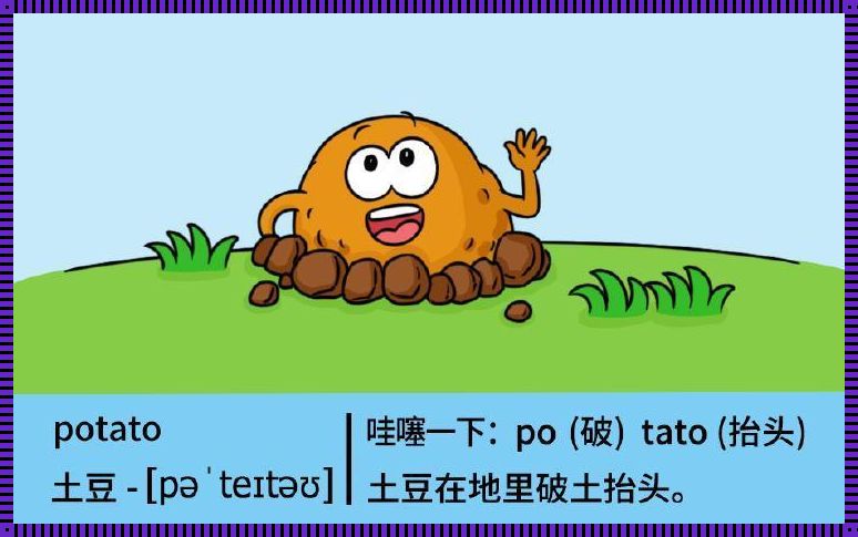 土豆的别样英文探索：寻找“Potato”的秘密