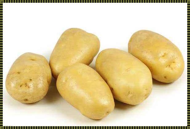 土豆的别样英文探索：寻找“Potato”的秘密