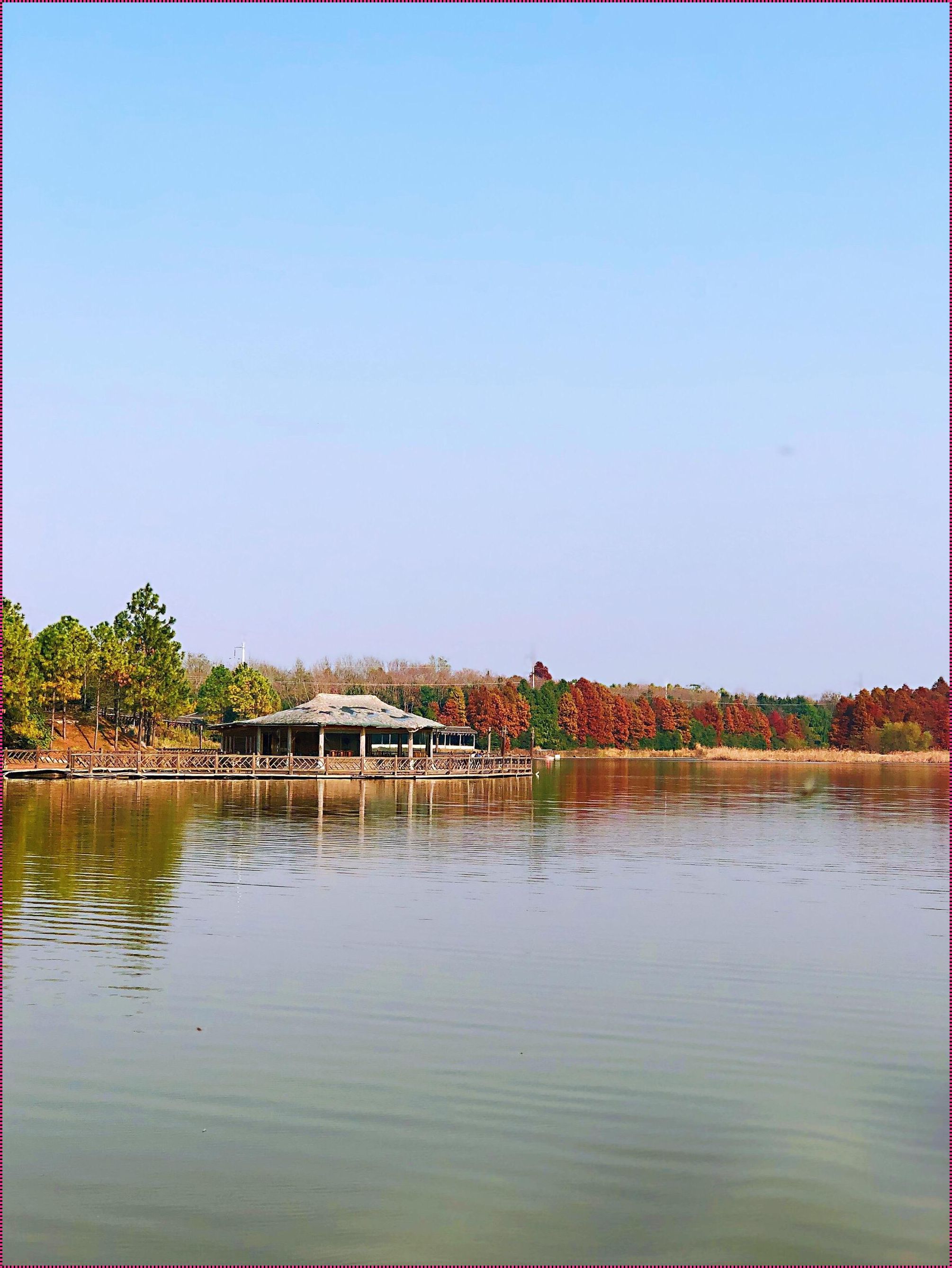 海湾国家森林公园一日游指南：领略自然之美，感悟生命之律动